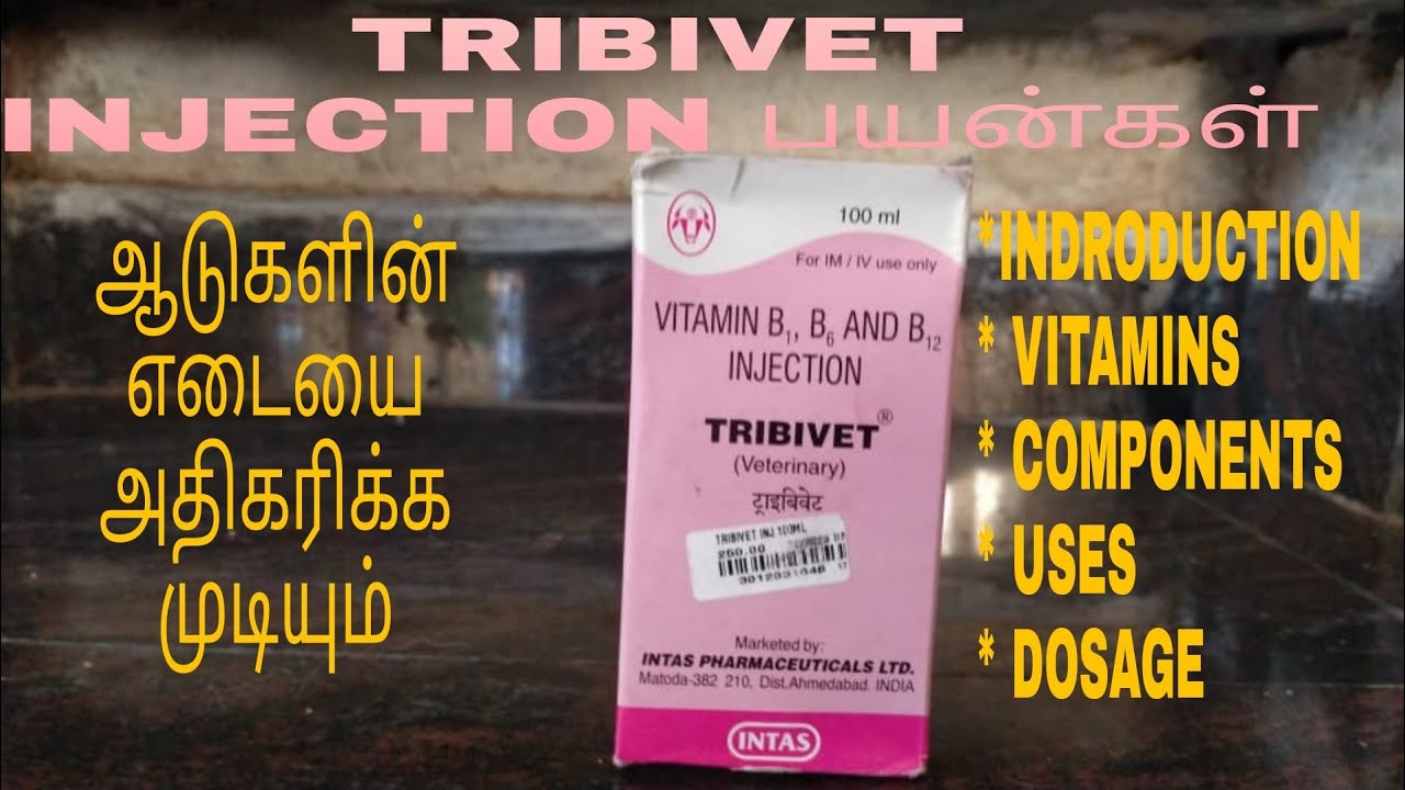 INJECTION TRIBIVET ஆடுகளிள் என்ன பயன் தருகிறது YouTube