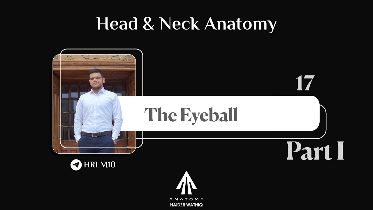 Head & Neck anatomy | Lec 17 | The Eyeball | Part 1 - YouTube