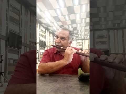 بتراش ای سنگتراش زهرا ملکی خواننده