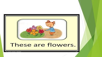 Class 2, English Grammar, Chapter 12 by Deepa Singh