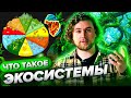 Что такое экосистема? | Просто о сложном - Сортировочная