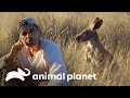 Três curiosidades da natureza explicadas por Frank | Perdido na Ásia | Animal Planet Brasil