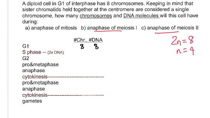 Genetics: not a problem.  Mitosis and meiosis.