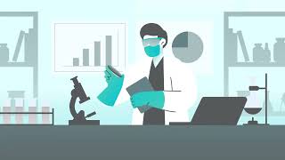 The CLP Certification Process