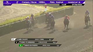 Vidéo de la course PMU PREMIO OTTO