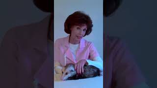 You Dont Want That #Shorts #comedyvideos #animals #possumkingdom #funny #possum