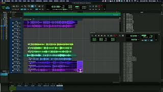 Loop Recording Using Playlists in Pro Tools