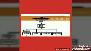 Biimaal- Marka Caddey - Beelaha Direed Xeebaha & Shabeelad Hoose- Biimaal Mahe Iyo Dirka Kale