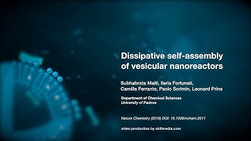 Dissipative self assembly of vesicular nanoreactors - Nature Chemistry