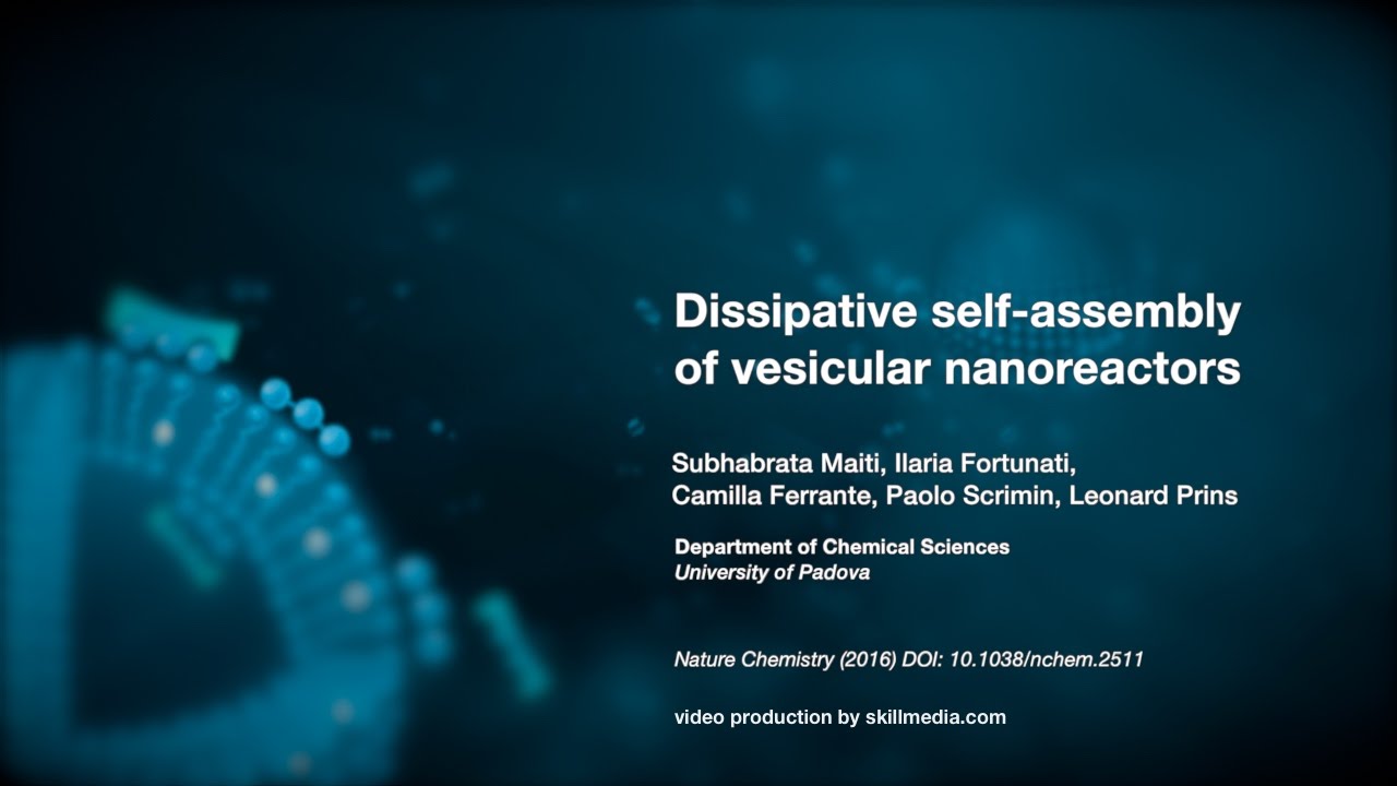 Dissipative self assembly of vesicular nanoreactors - Nature Chemistry