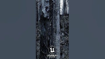 UNREAL ENGINE 5.2 OR REAL LIFE ?! 😧