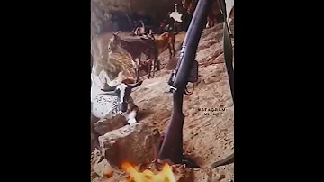 سعيد عيجام المعشني 