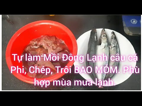 Video Làm Mồi Đông Lạnh Câu Cá - youtube