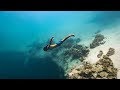 5 Key Tips for Advanced Freedivers | Hold Your Breath Longer