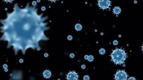 Virus Cells In The Body Stock Motion Graphics
