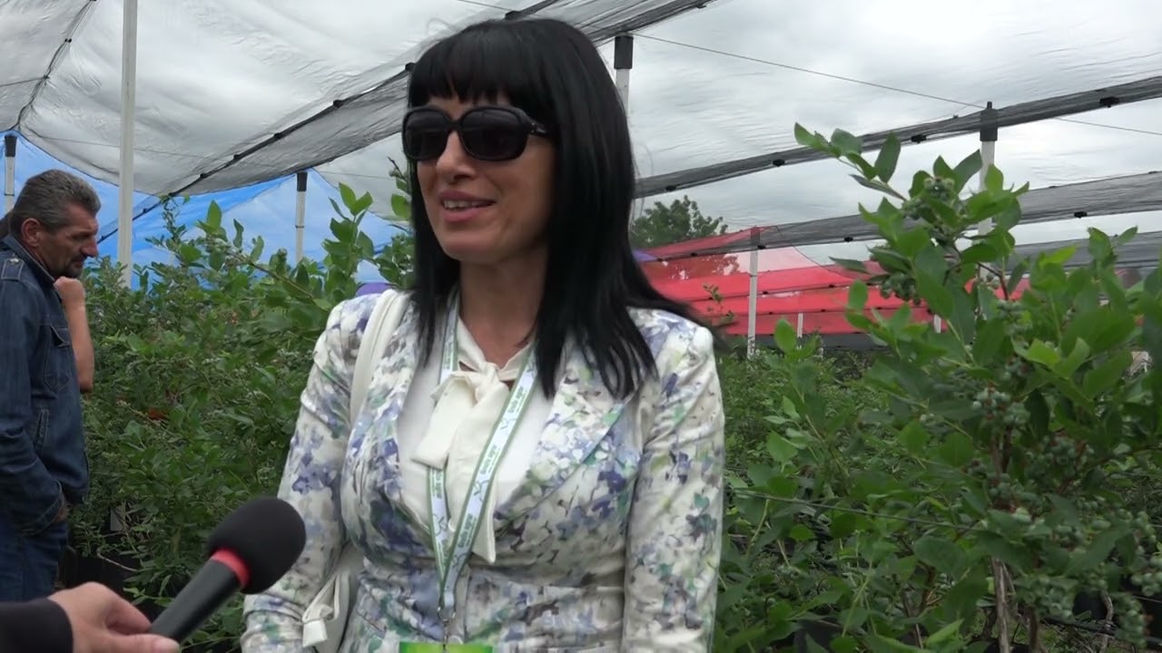 Borovnice od tehnologije do zarade