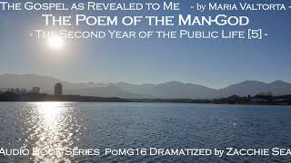 [AudioBook] Poem of ManGod/ Series 16/ Second Year of Public Life [5]/ Messiah's Second Passover