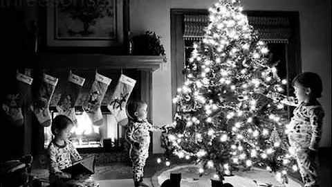 My Christmas Tree (Home Alone 2)