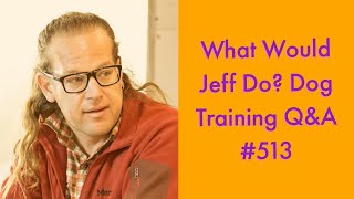 What Would Jeff Do? Dog Training Q & A #513