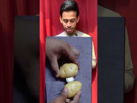 Phone charge with (potatoes+coin) #shorts #experiment #challenge