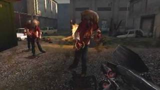 How to cheat in Half Life 2