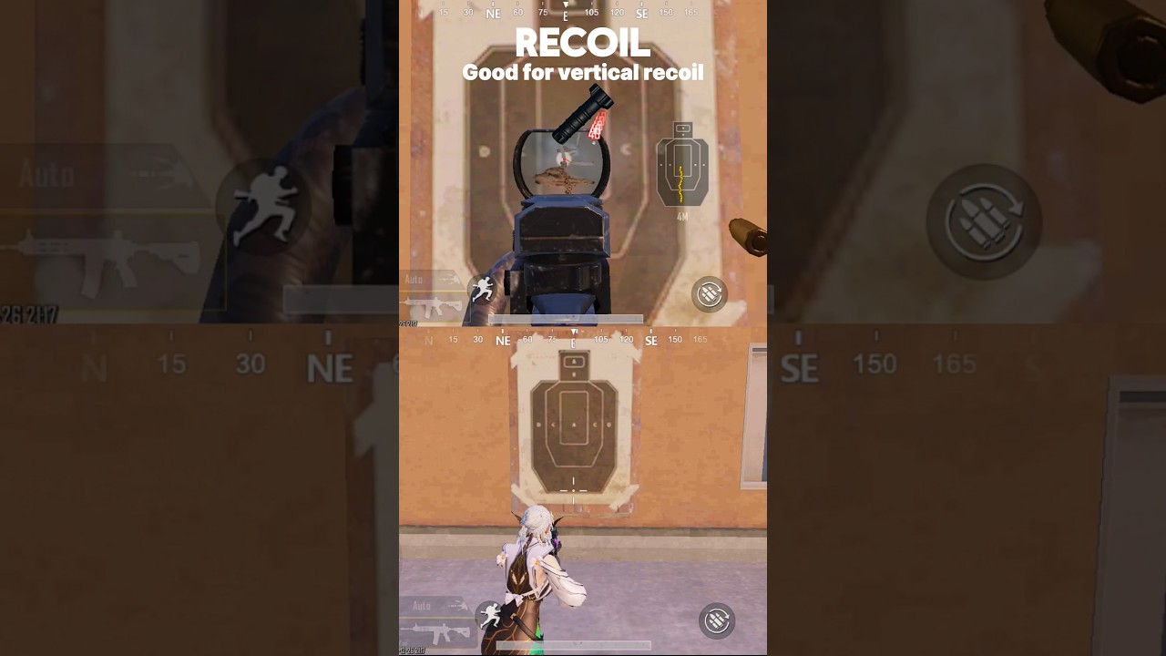 Vertical Grip vs Angled Foregrip 🤨 ‪