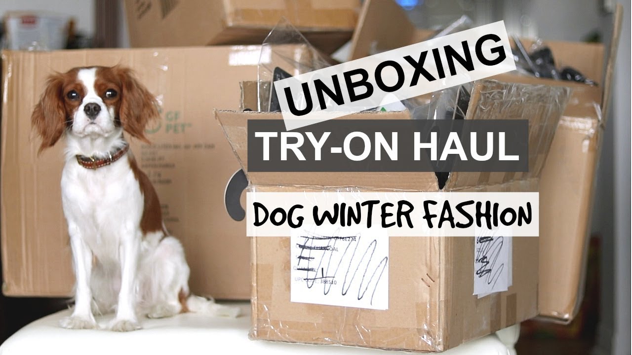 UNBOXING TRY-ON HAUL | Dog Winter Fashion | Dog Winter jackets & sweaters