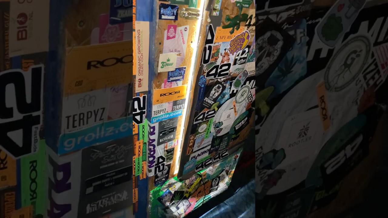 Tray2Grow harvest day sickerbomb DIY Growbox  