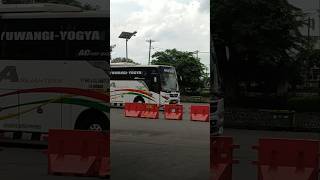 JOGJA SOLO JEMBER BANYUWANGI BUS MILA SEJAHTERA SNIPER #milasejahtera #terminaltirtonadi #dolancuan