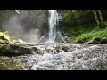ASMR Loud River & Waterfall Sounds 🌿 Clear Flow + Birds Chirping | Deep Forest Relaxation