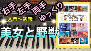 美女と野獣【簡単ピアノ】【ピアノ初心者】【譜読用ゆっくり】【ピアノ独学】