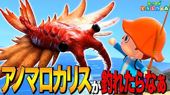 アノマロカリス Youtube