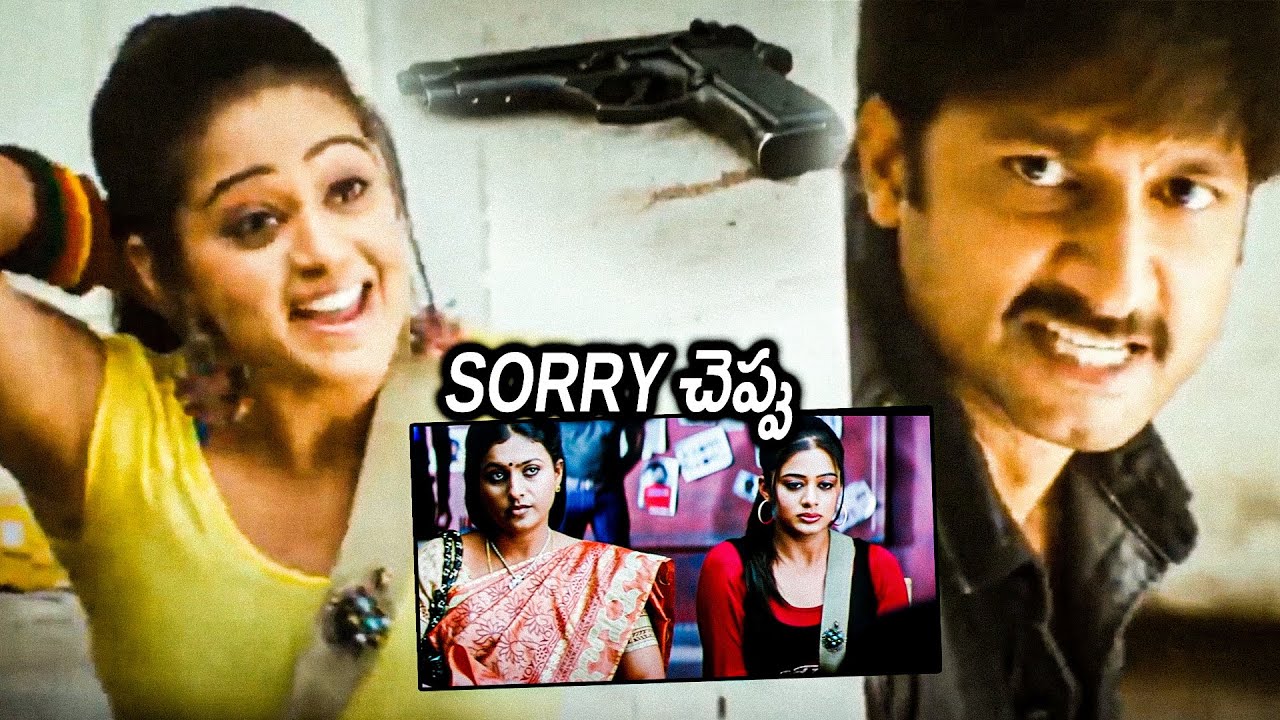 Golimaar Movie Priyamani And Gopichand Funny Sorry Fighting Scenes || Movie Scenes || Matinee Show