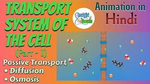 Transport system of The Cell (Part-I) Passive Transport | Animation In Hindi | Simple Explanation