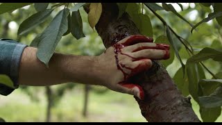 Original trailer, The Orchard