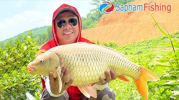 CÂU CÁ CHÉP - Tiếp tục hành trình săn CHÉP CỦ với MỒI CÂU CHÉP HẠT