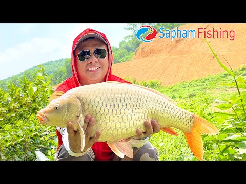 Video CÂU CÁ CHÉP - Tiếp tục hành trình săn CHÉP CỦ với MỒI... - youtube