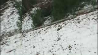 Heyelan Ani Kamerada