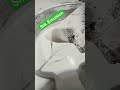 Silk Shine Emulsion