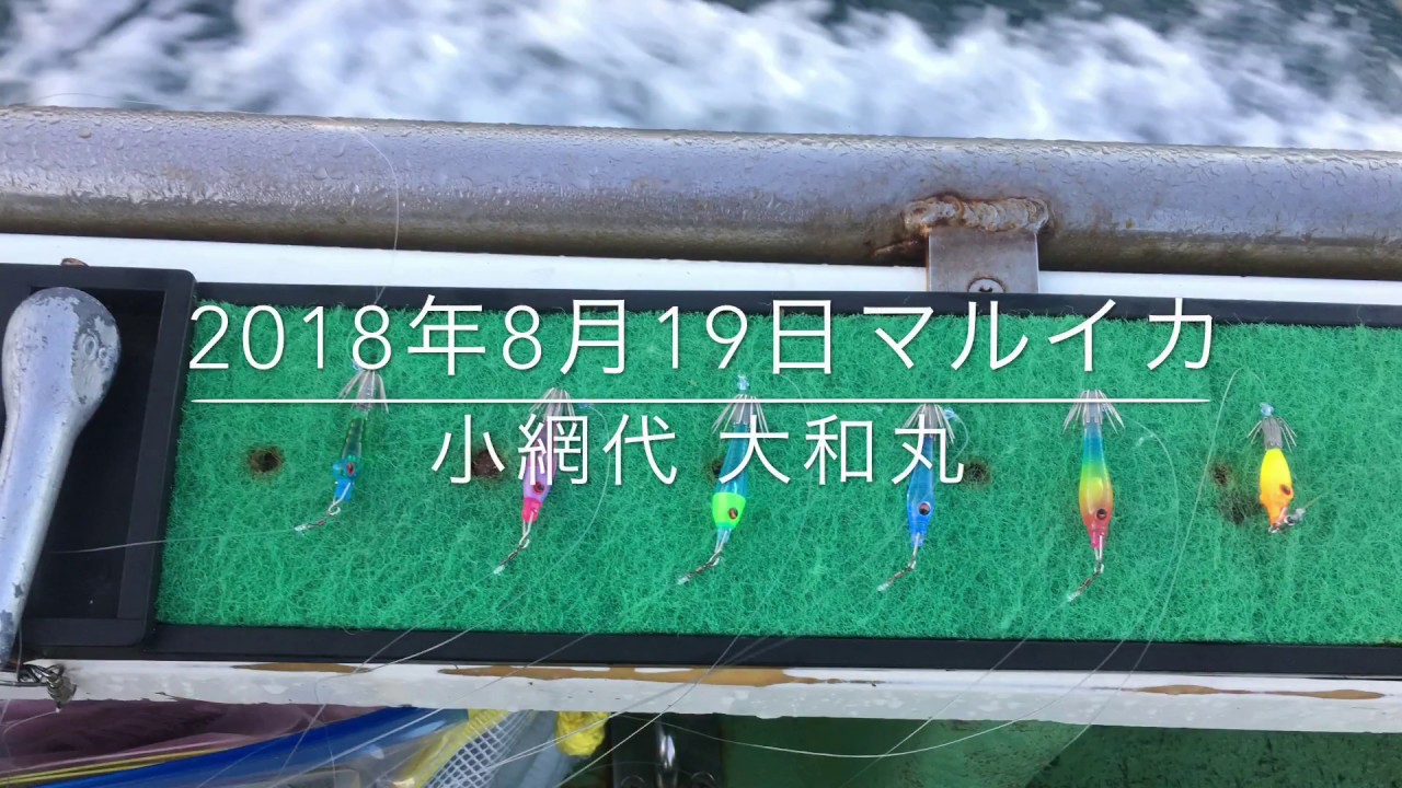 マルイカ 18 8 19小網代 大和丸 Youtube マルイカ 18 8 19小網代 大和丸 Youtube
