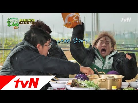 번개를 반참?삼은 새참, 번개백숙! 풀 뜯어먹는 소리-가을편 10화