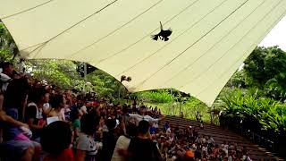 VID 20131004 110033