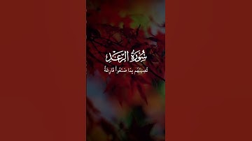 الشيخ ماهر المعيقلي _ سورة الرعد _ تلاوة للشيخ ماهر المعيقلي #اكسبلور #quran