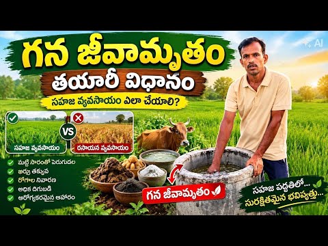 GHANA JEEVAMRUTHAM preparation and benefits 