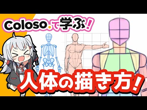 Colosoで学ぶ！人体の描き方