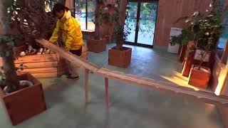 Guinea Pig Bridge Song [10 hours] screenshot 5