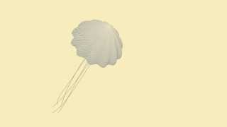 openFrameworks Jellyfish