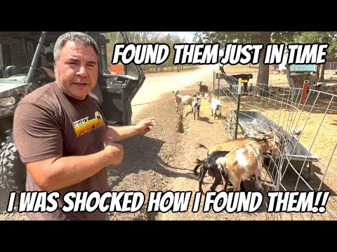 I’m Concerned About Our New Baby!!