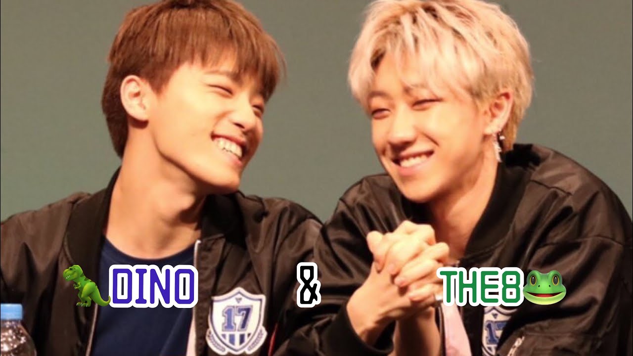 🐸ハオちゃんとディノちゃん🦖【SEVENTEEN/セブチ】