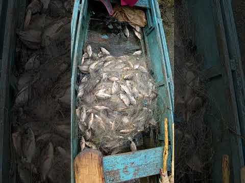 Pescadores de Cabral, Barahona, denuncian pesca indiscriminada y caza ilegal de aves migratorias
